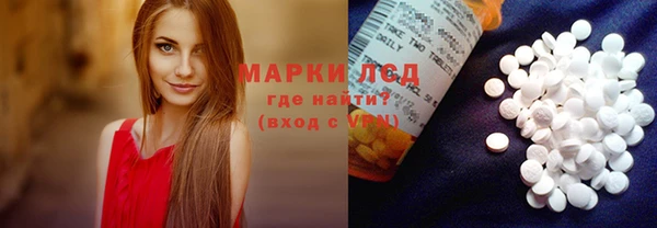 шишки Инта
