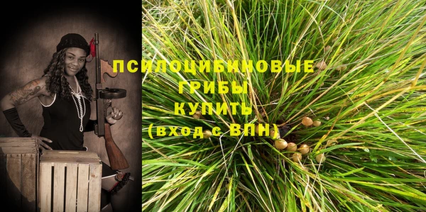 дмт Алексин