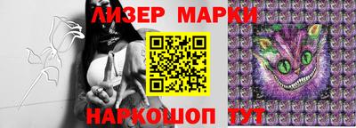 гидра Тверь