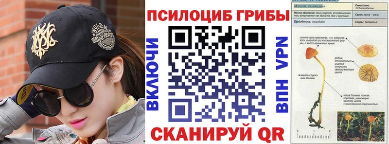 кракен ССЫЛКА Санкт-Петербург Галлюциногенные грибы ЛСД